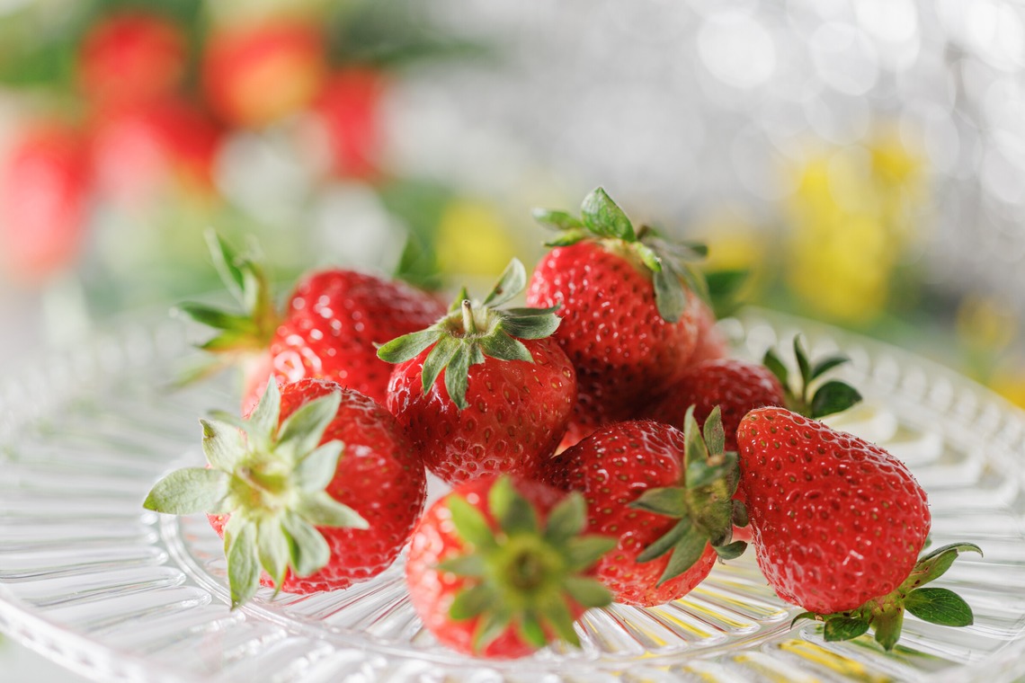 ちずカメラが撮影した写真のアルバム「料理」