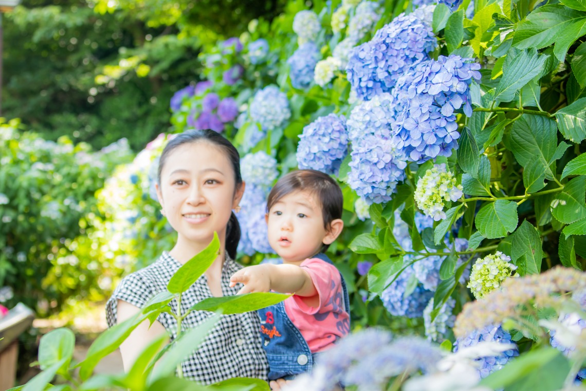 かわもとえつこが撮影した写真のアルバム「ファミリーフォト」