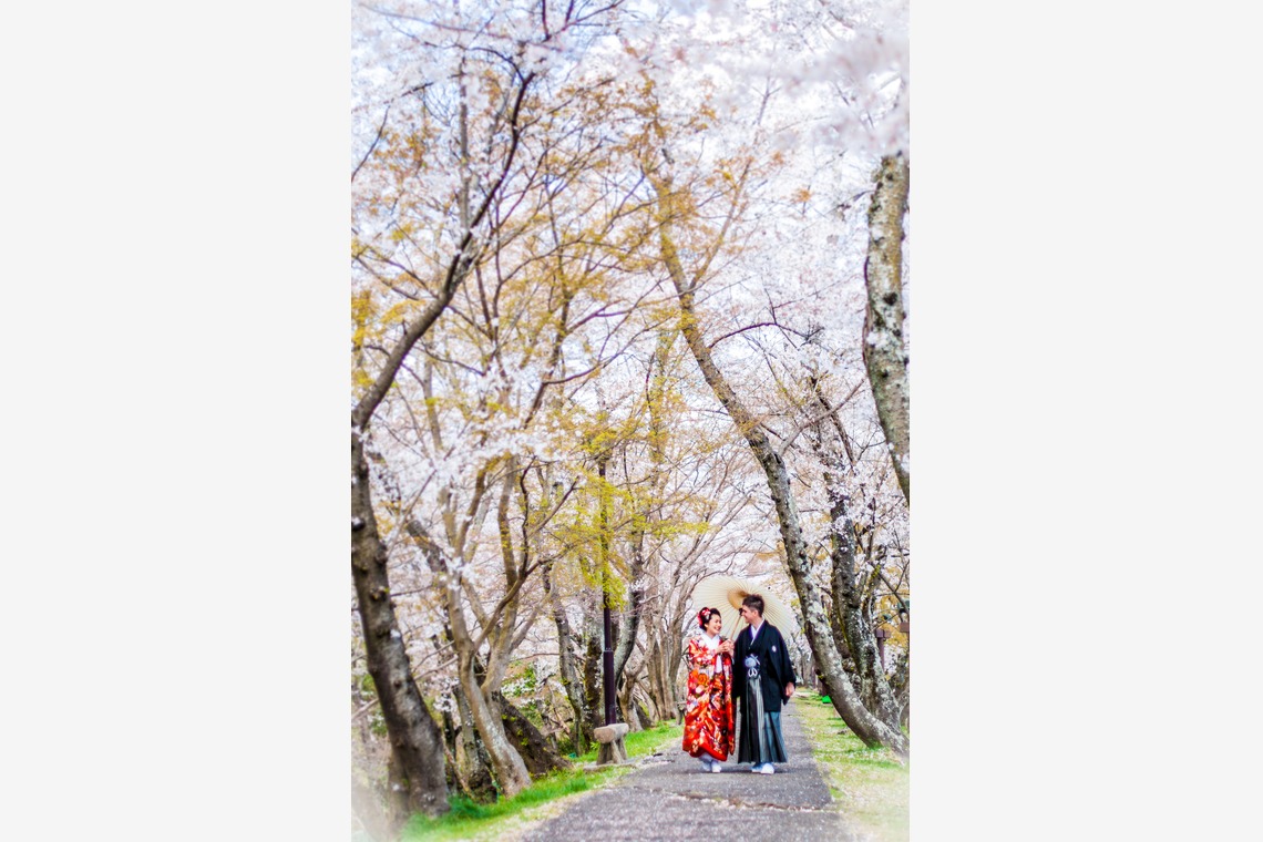 Green Tea Photography