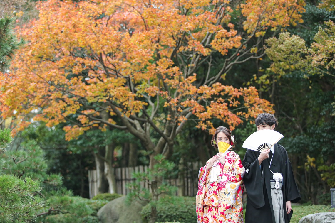 Album of the Wedding, Bridal taken by インプルーブ博多店 - 