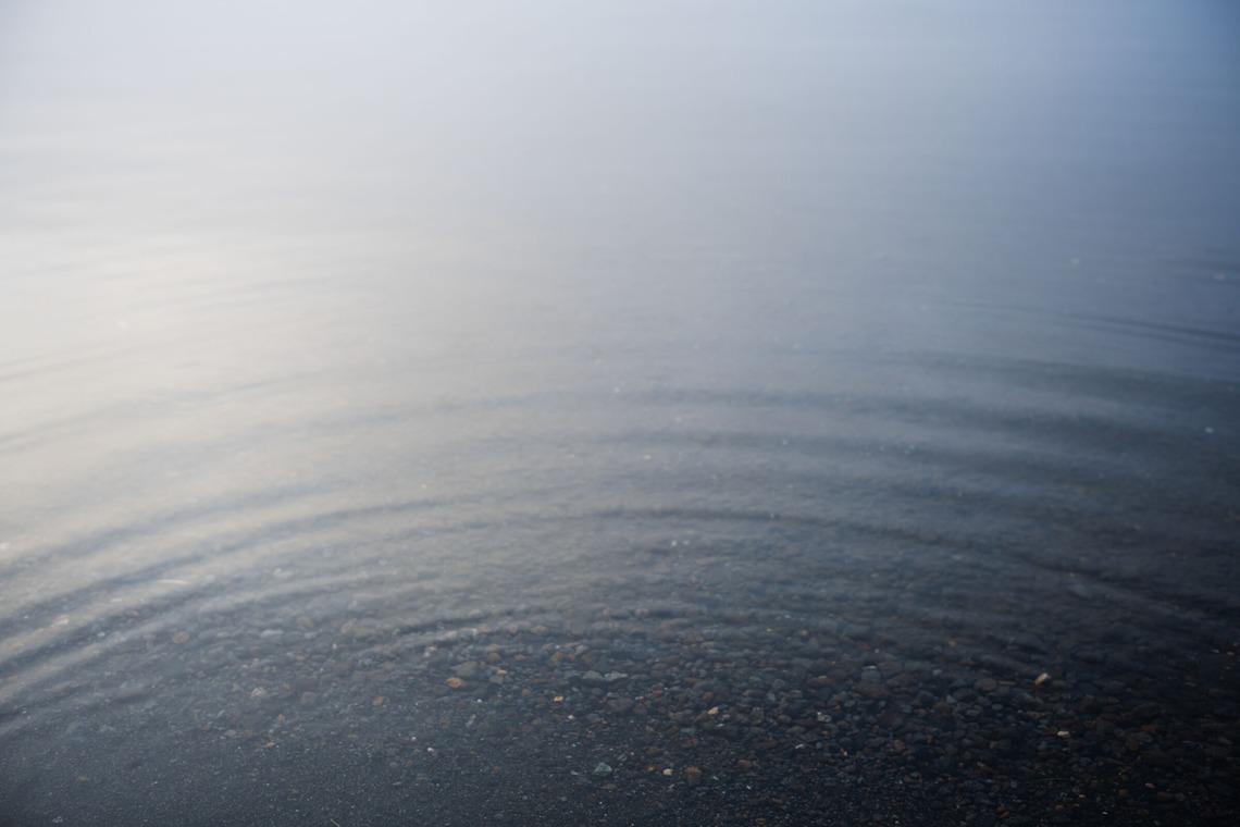 西澤 大和が撮影した「nature」の写真