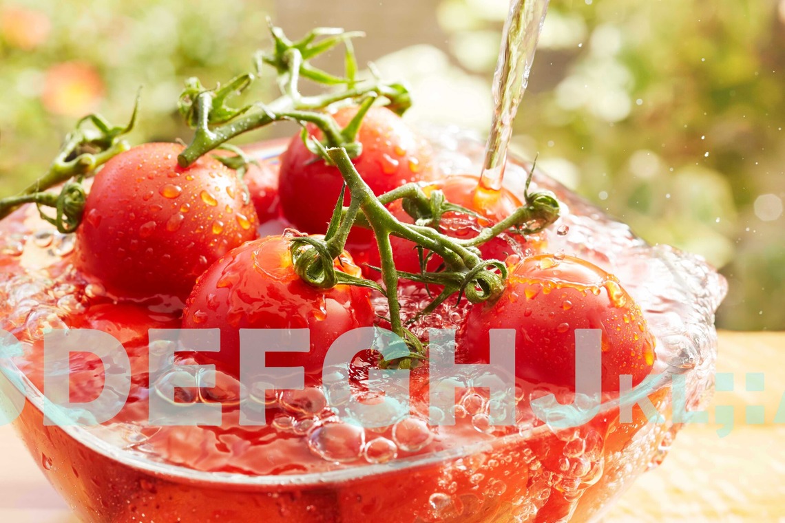 西原毅が撮影した「野菜、他」の写真