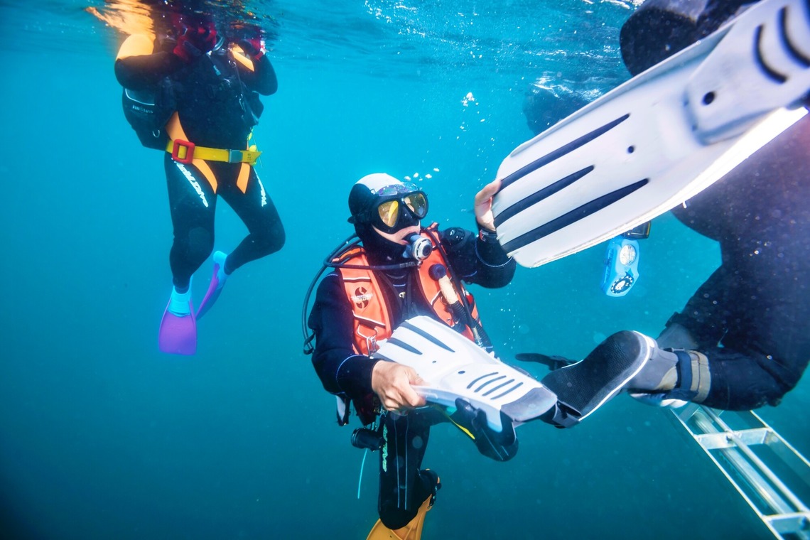 リトルダイナソーが撮影した「取材人物撮影」の写真