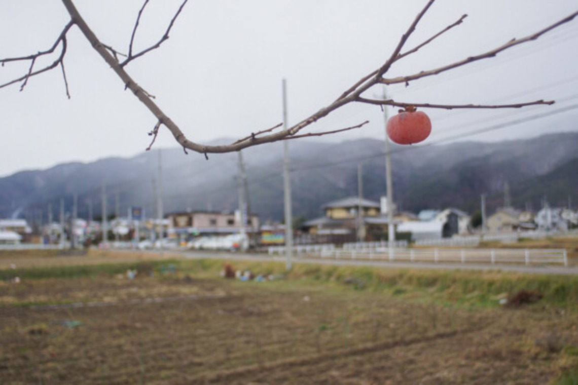 手塚隆弘が撮影した「気ままに」の写真