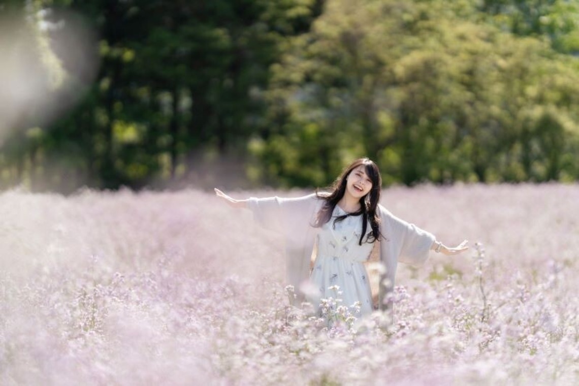 佐藤　克利が撮影した「宮城県、山形県、福島県、岩手県」の写真