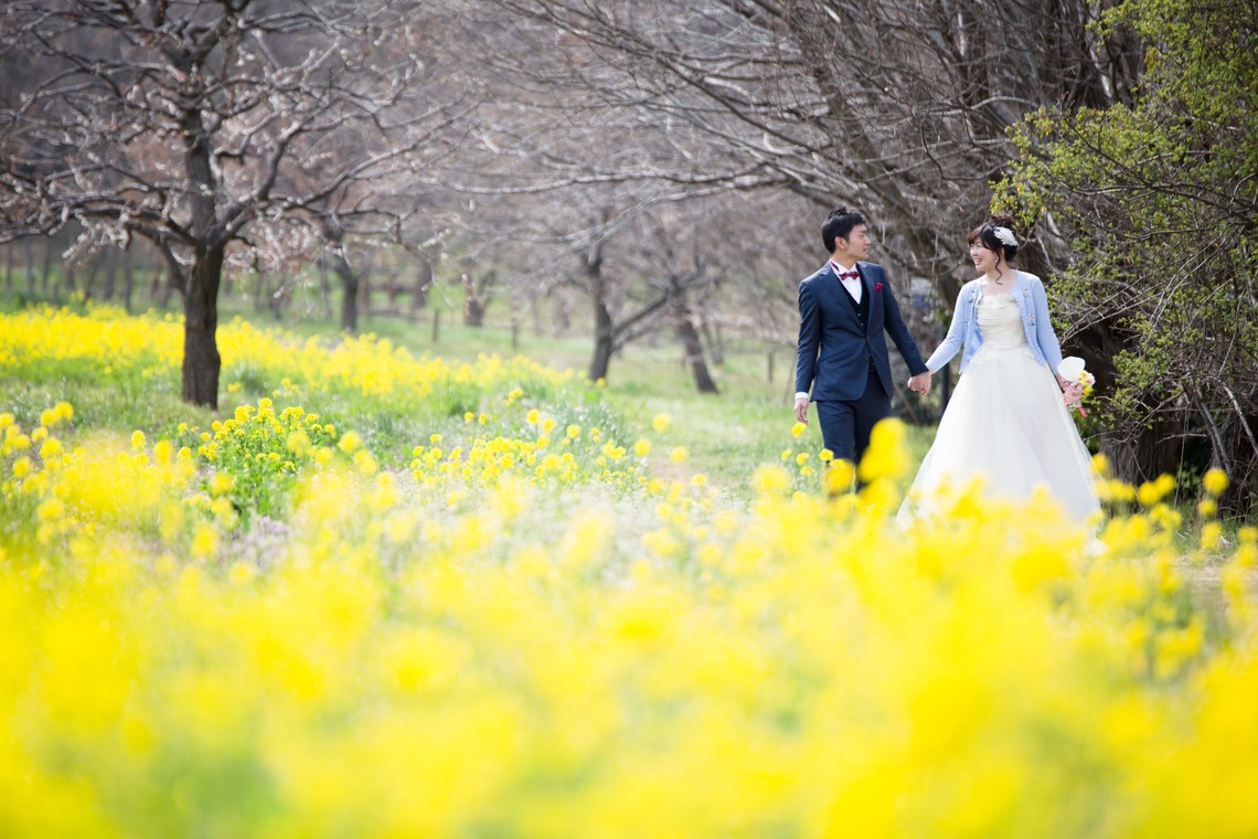 Album of the Wedding, Bridal taken by Takano Kazuki - Spring Japan