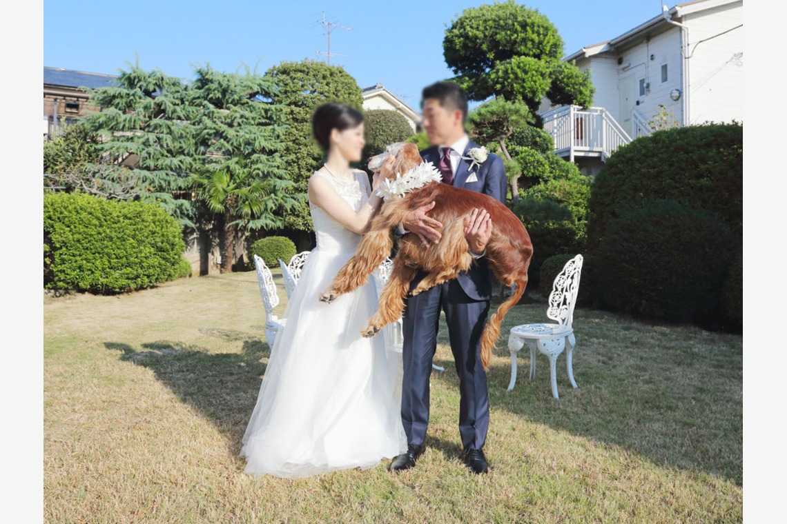 谷崎 春彦（T-Studio）が撮影した「ブライダル/フォトウェディング/結婚式/披露宴/結婚パーティー」の写真