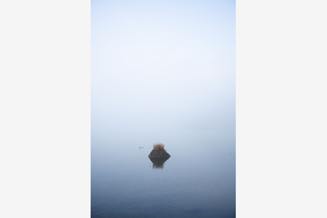 西澤 大和が撮影した写真のアルバム「nature」