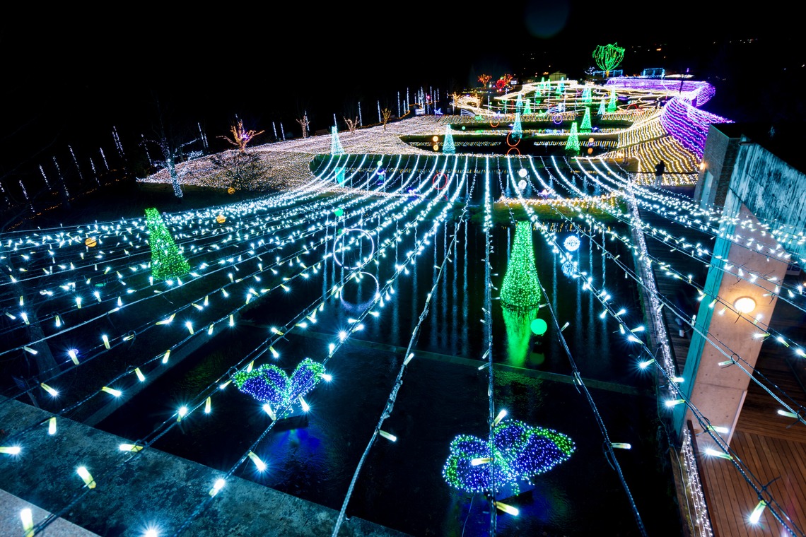 光画堂スタジオが撮影した「各種イベント」の写真