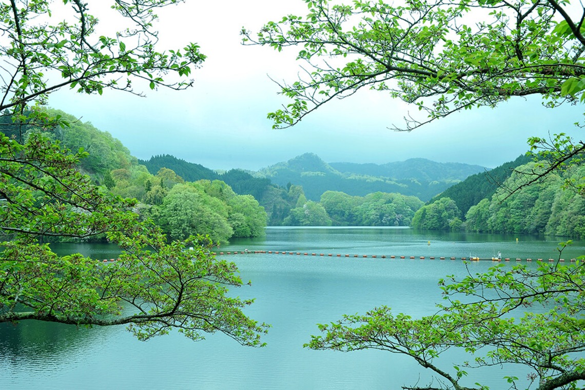 若林聖人が撮影した「撮影例」の写真