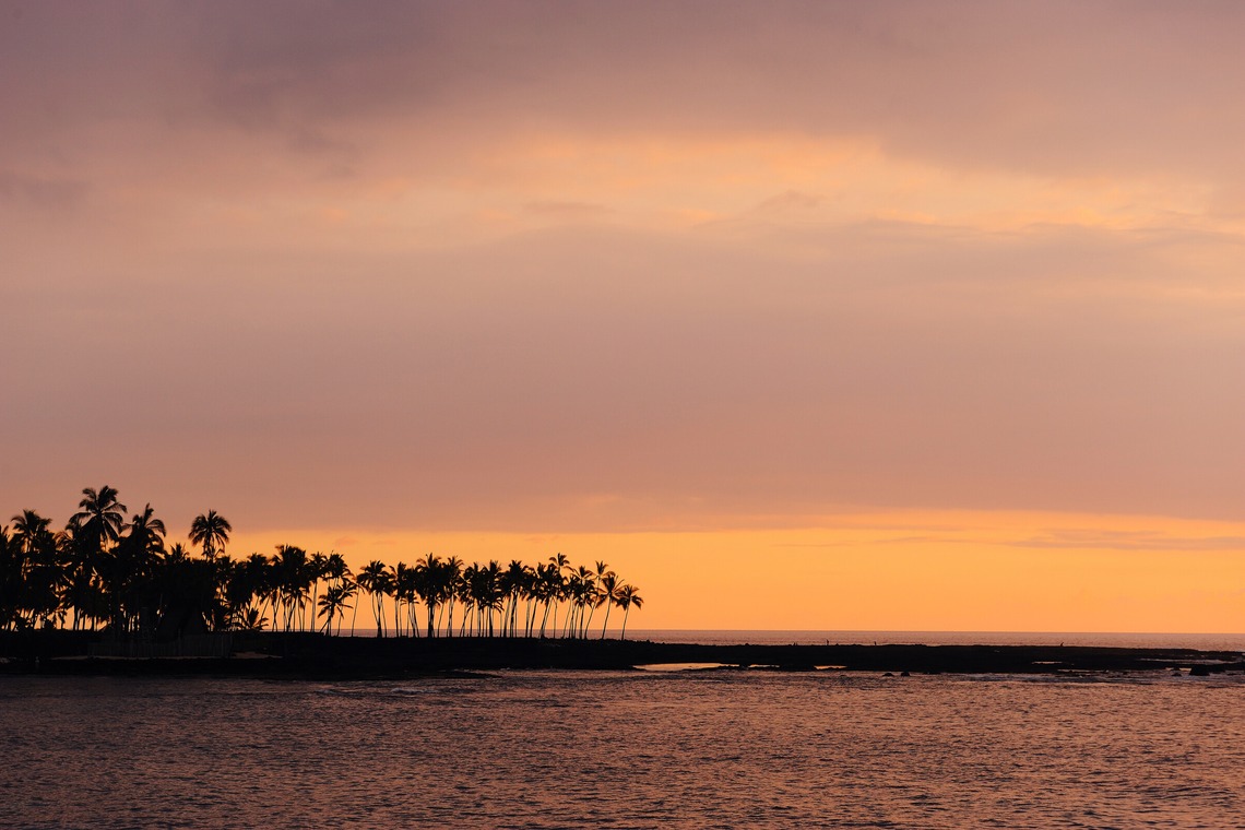 マイクロコズム合同会社