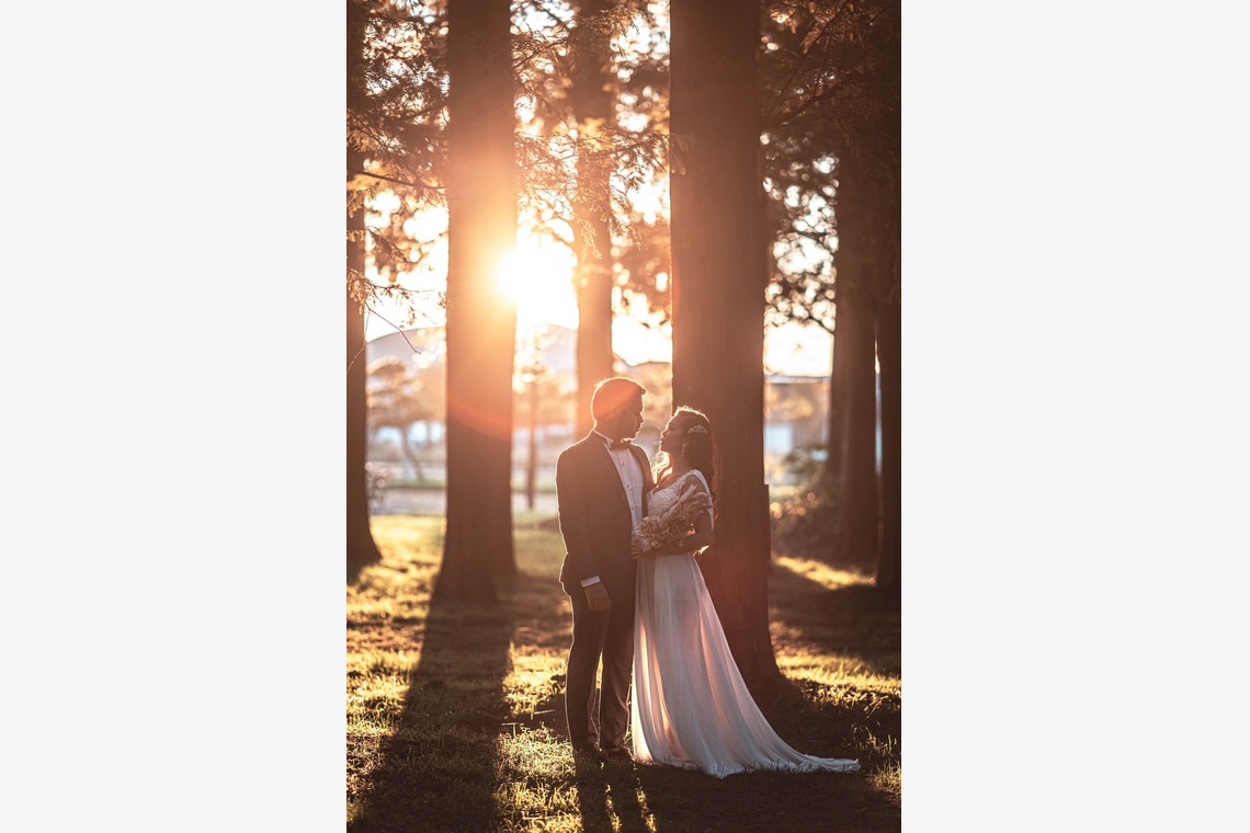 kudophotoが撮影した写真のアルバム「フォトウエディング＿メタセコイアの森」