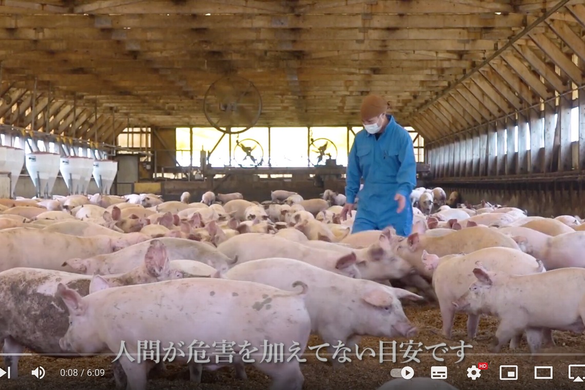 Castella Designが撮影した「YouTube動画」の写真