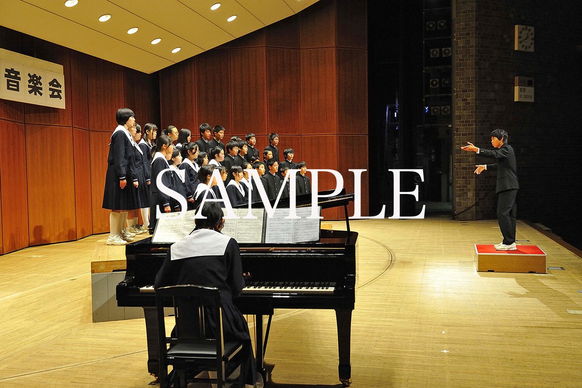 TOKOが撮影した写真のアルバム「速写」