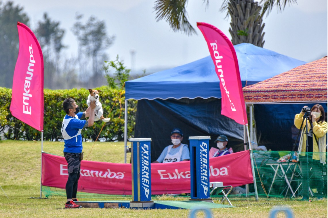 スタジオファンタスが撮影した「ドッグスポーツエクストリーム」の写真