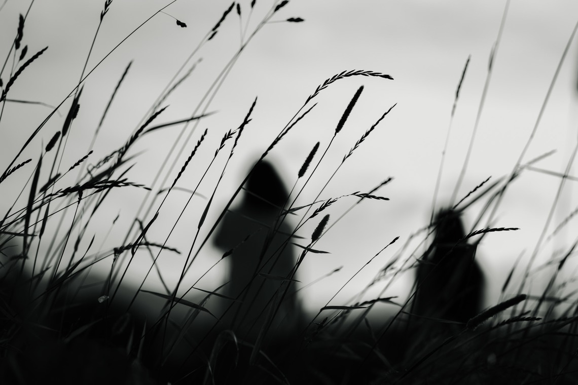 Photo of  taken by itowa Photograph