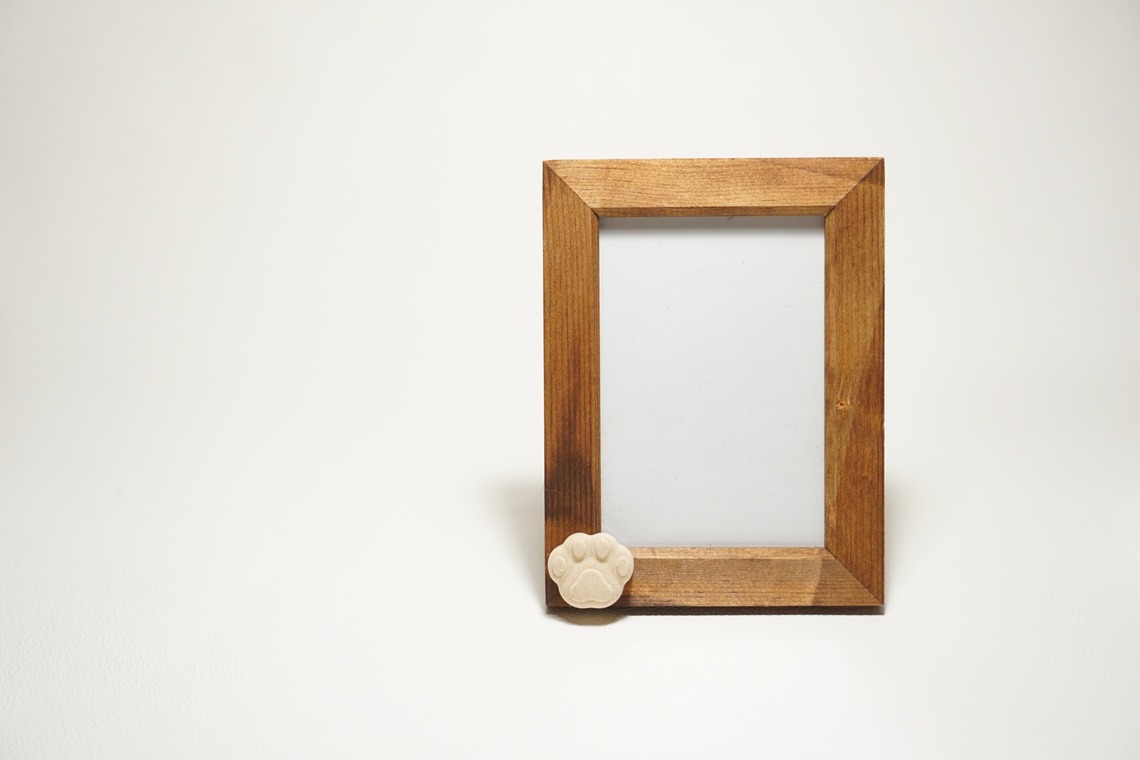 出張撮影のメモリーズが撮影した「宣材-アラカルト」の写真