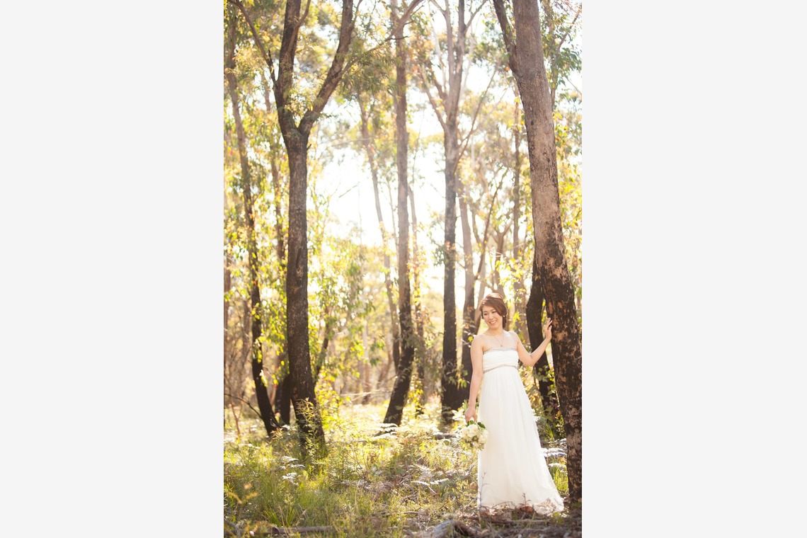 シドニー・クリエイティブフォトグラフィーが撮影した「フォトギャラリー」の写真