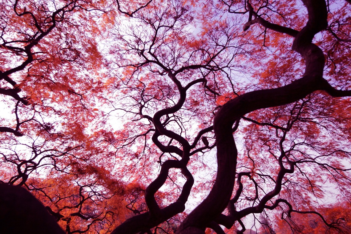 熊谷順写真事務所が撮影した「日本の美しい風景」の写真