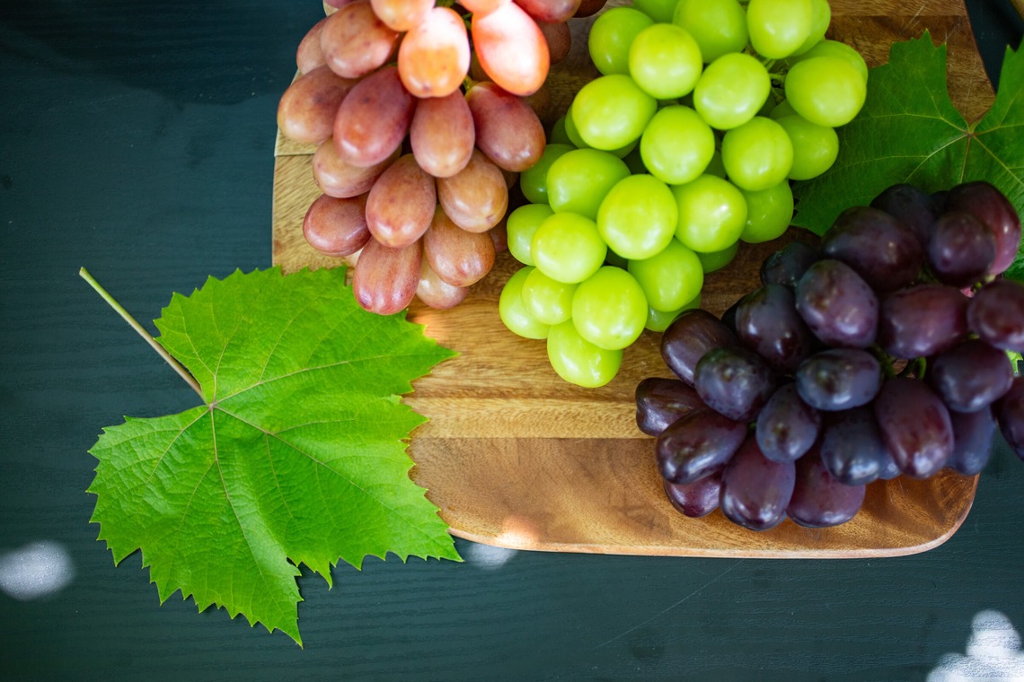 大森美紗生が撮影した写真のアルバム「農園宣材写真」