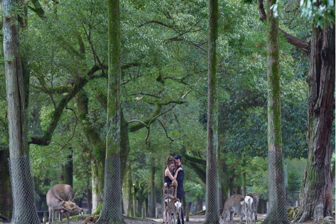 キキフォトワークスが撮影した「奈良公園でのウエディングロケーション撮影」の写真
