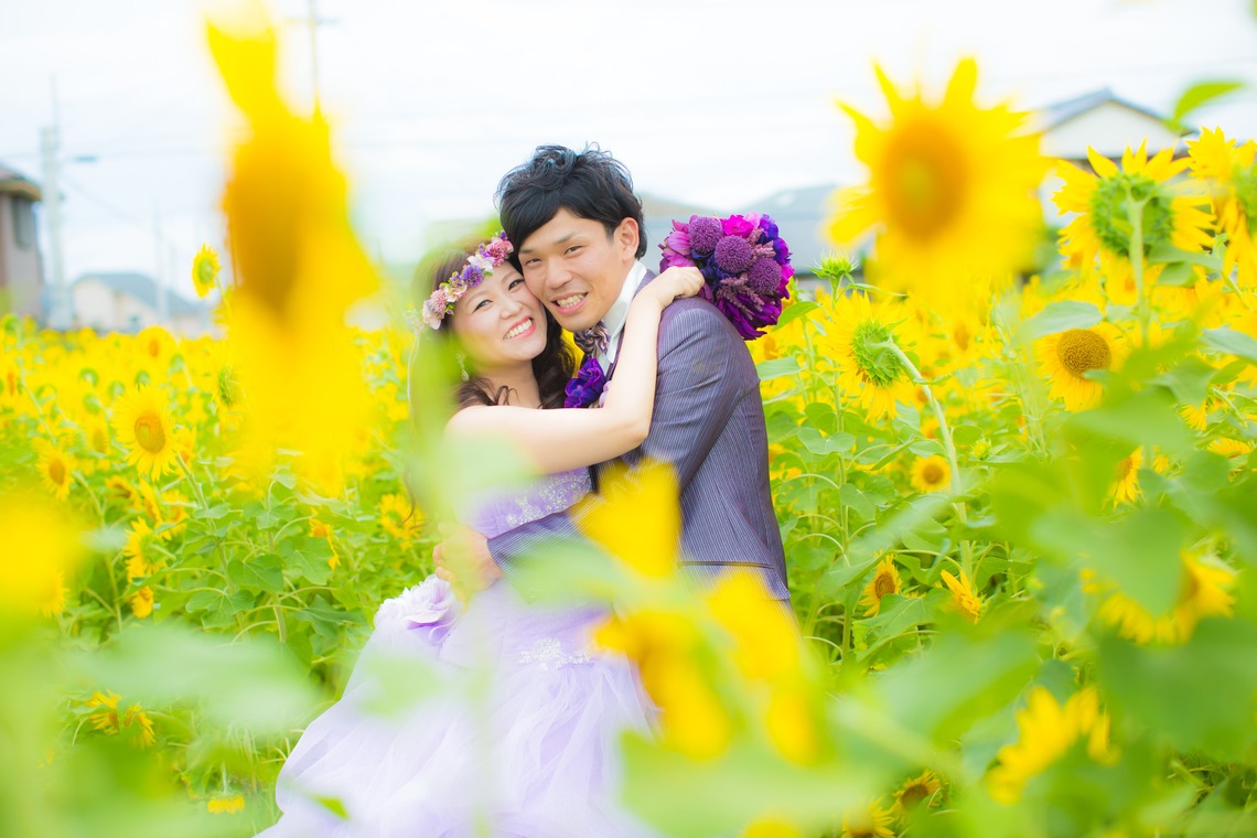 阿部写真館　徳島本店（北原 慎也）が撮影した写真のアルバム「ひまわり　菜の花ロケーションフォト」