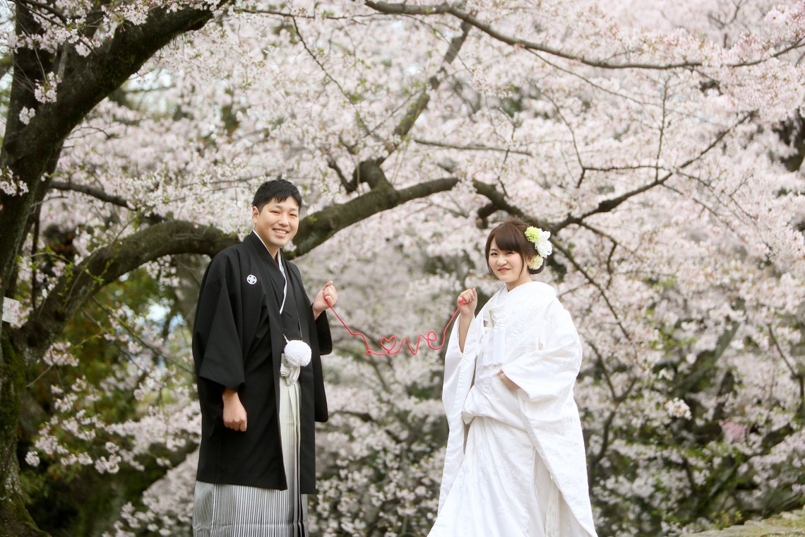 KIKIウェディングが撮影した「しだれ桜とソメイヨシノ」の写真