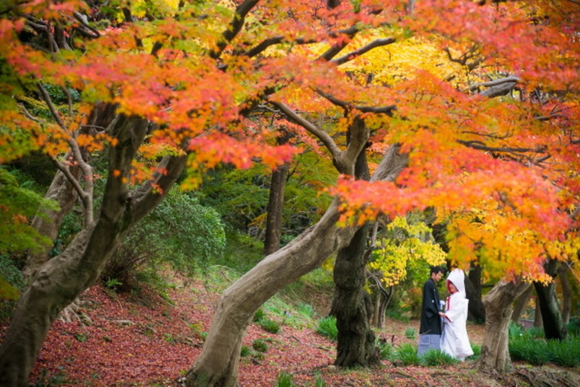 ピュアアーティス(小島 靖雄)が撮影した「ロケーションフォト」の写真