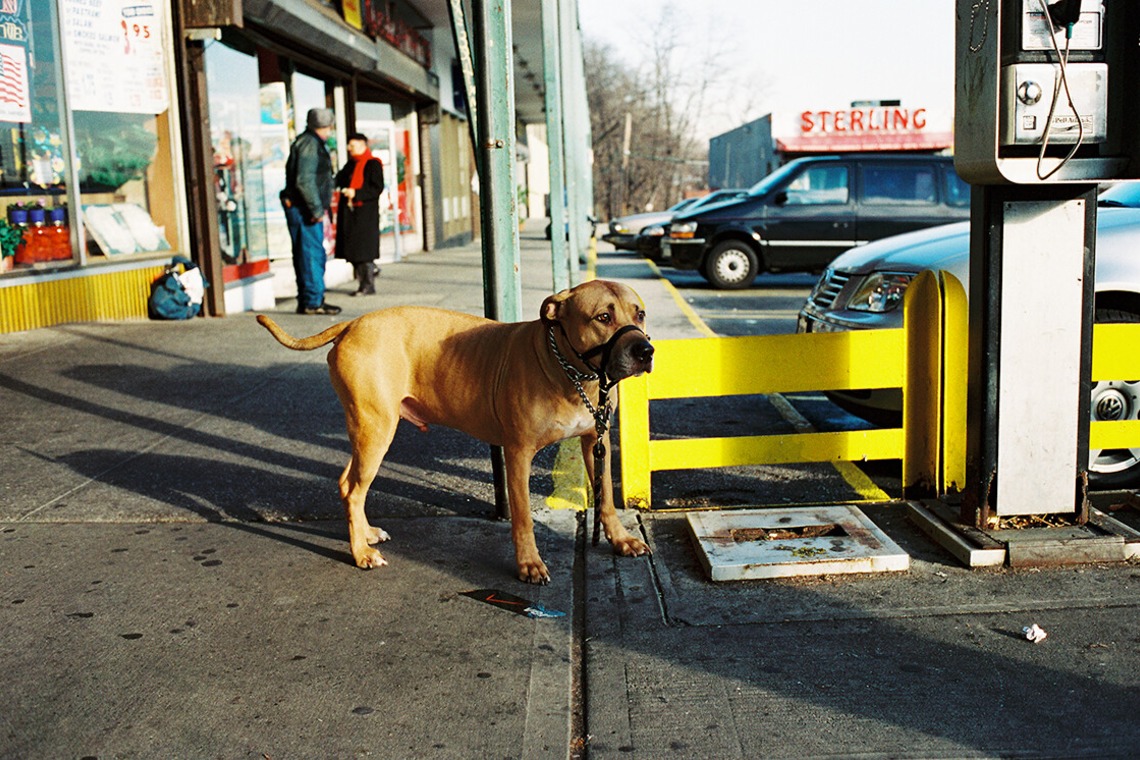 森田寫眞館が撮影した「N.Y」の写真