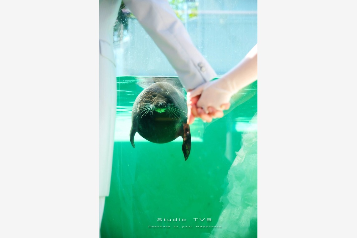 Studio TVB (スタジオtvb)が撮影した「ロケーションフォト」の写真