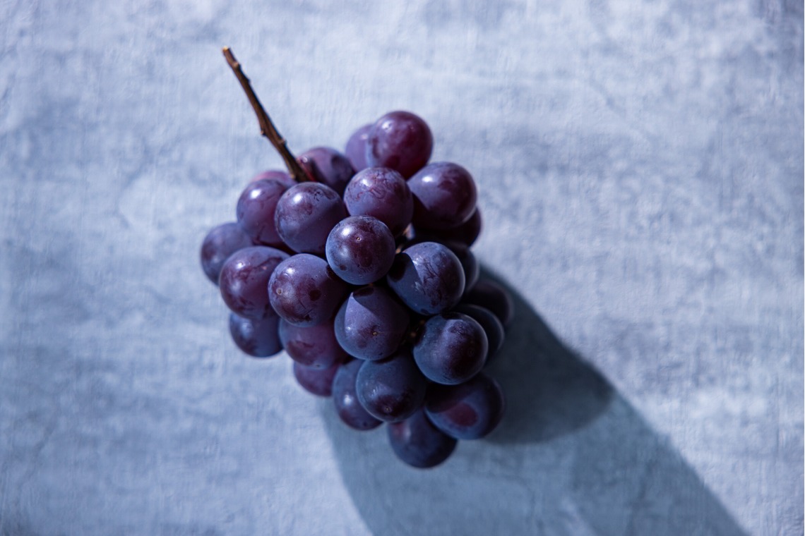 PortLichtが撮影した「物撮り」の写真