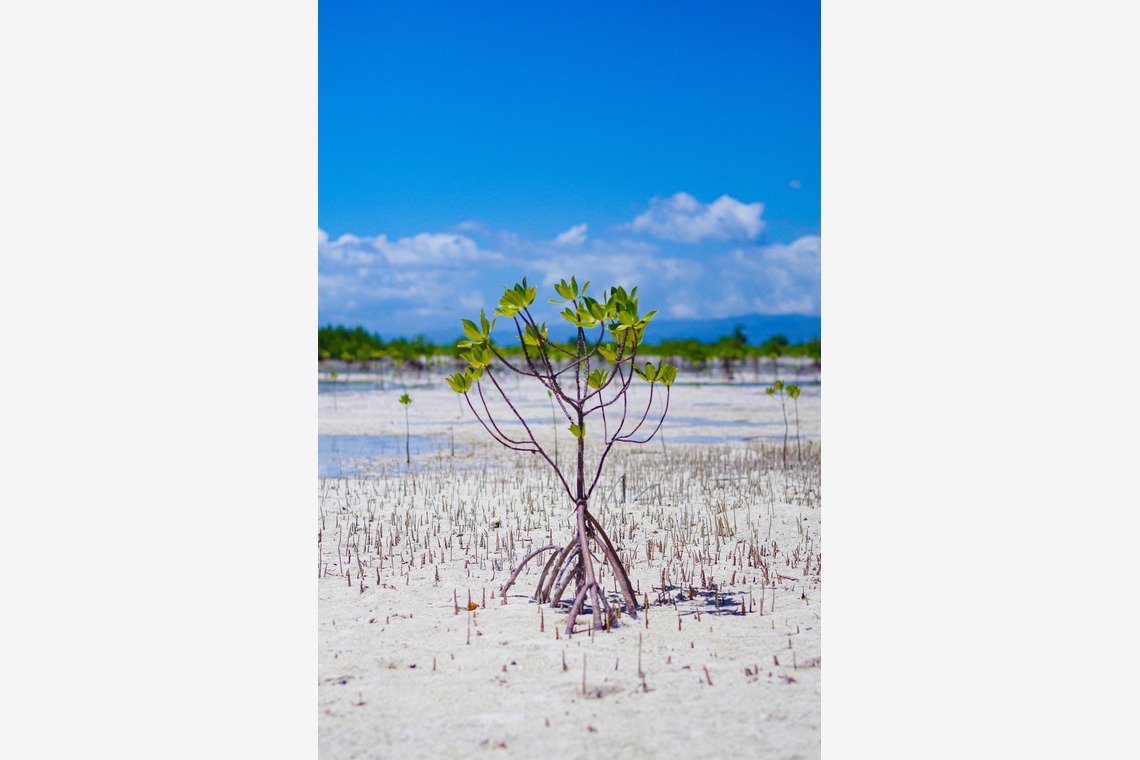 Katsuhiko Suzukiが撮影した写真のアルバム「Asia」