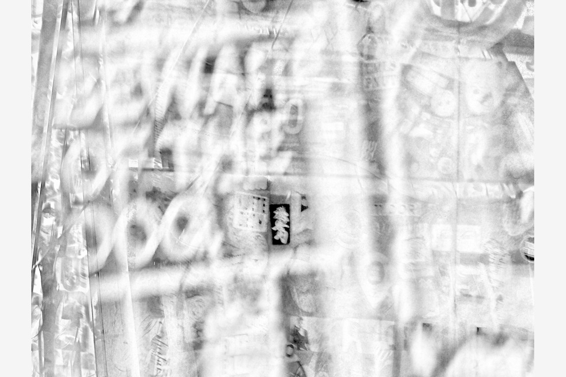 baysidecoyoteが撮影した「イメージ」の写真