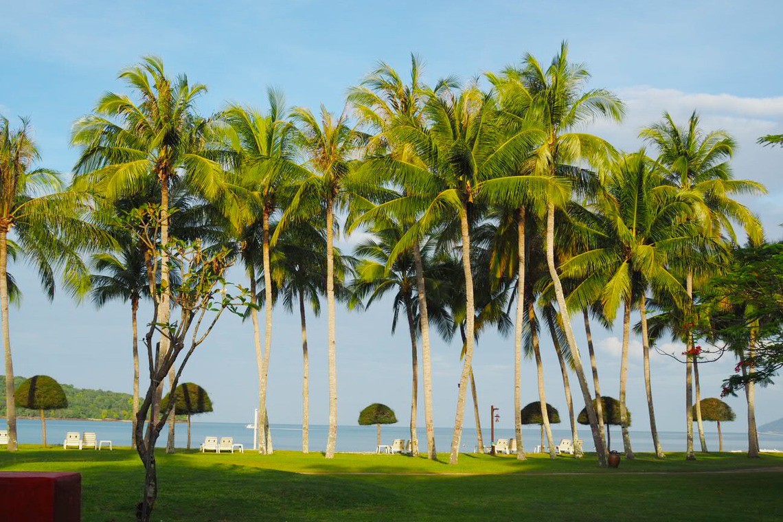 photographer yOUが撮影した「landscape」の写真