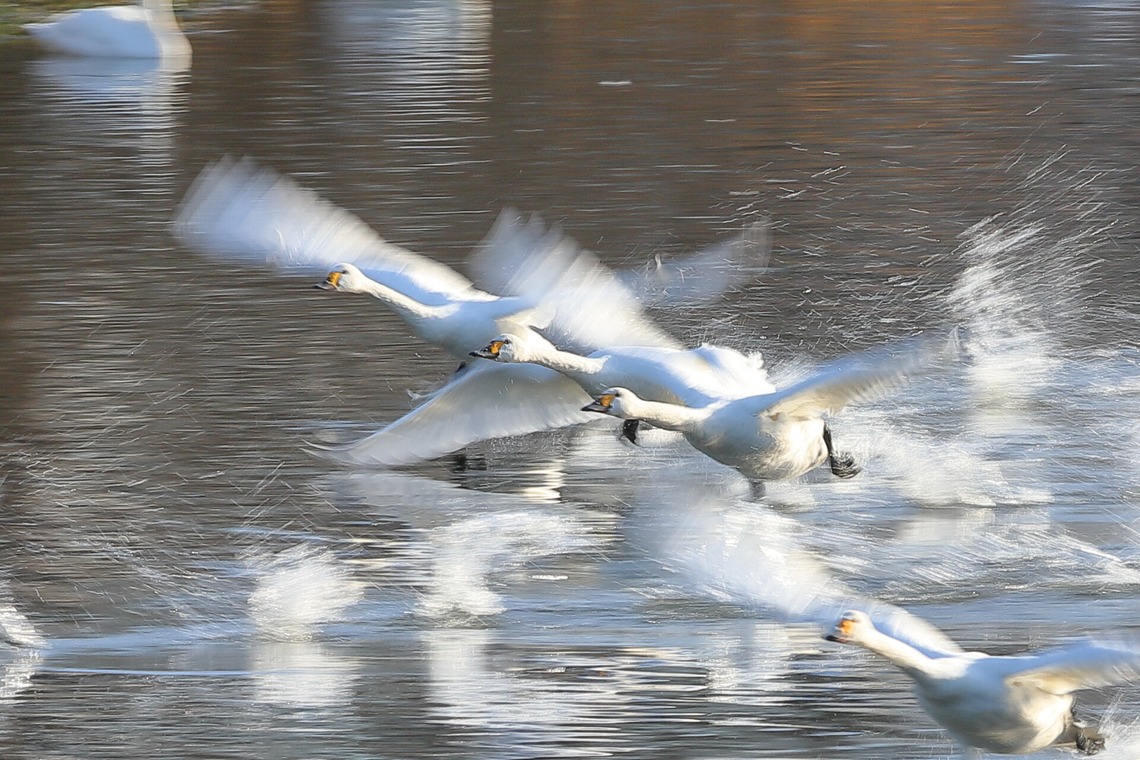 溝口崇が撮影した写真のアルバム「風景写真」