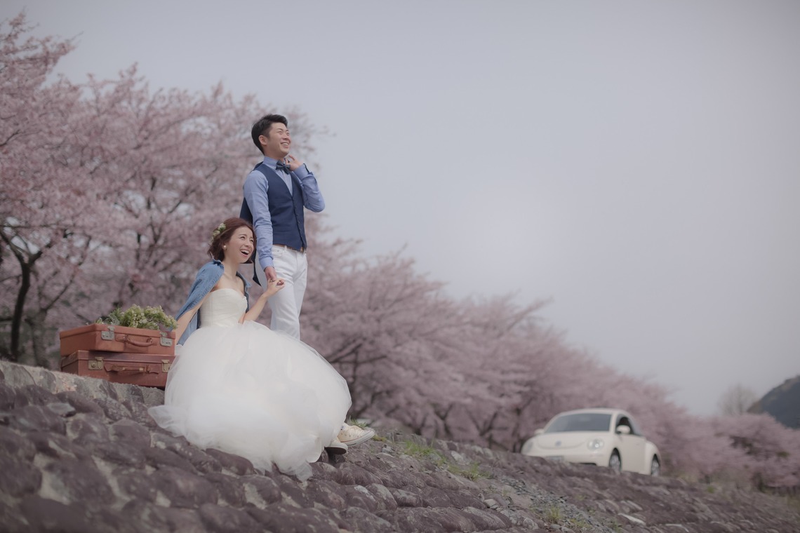  グラフィーズが撮影した「桜」の写真