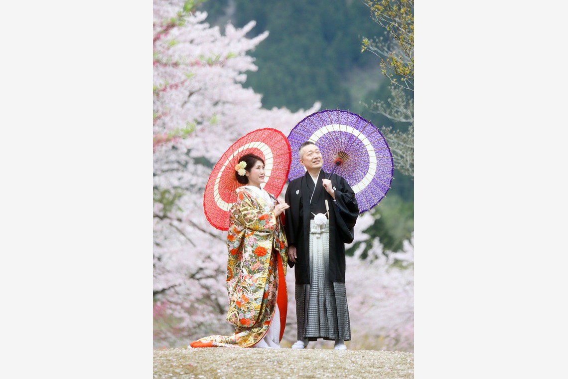 KIKIウェディングが撮影した写真のアルバム「桜　桜　桜」