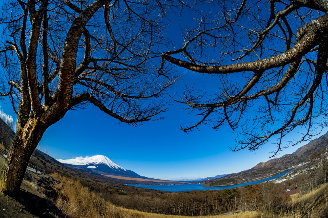 スタジオファンタスが撮影した写真のアルバム「富士山」