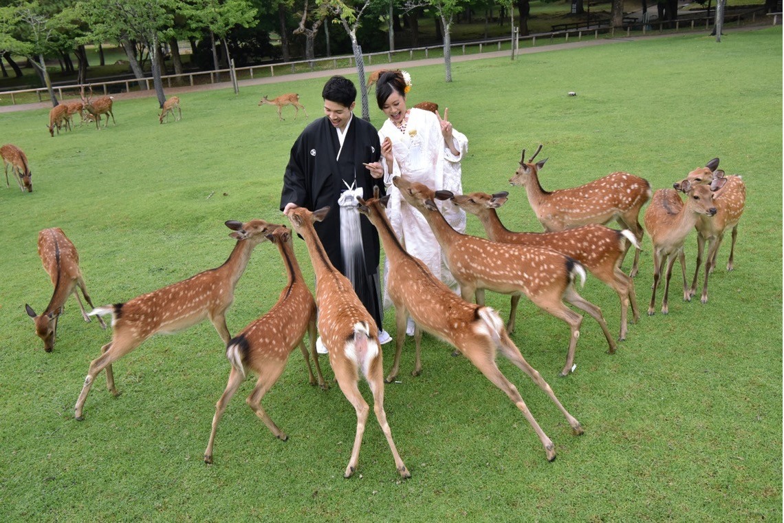 Album of the Wedding, Bridal taken by Kiki photo works - Pre Weddingphotoshoot at Nara with kimono in spring to summer