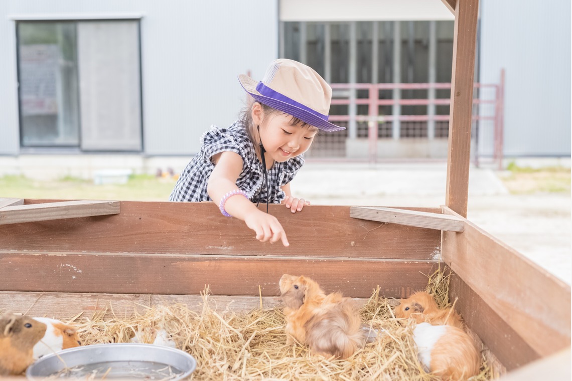 フォトスタジオ　ちっくたっくが撮影した「ファミリーフォト(ファミリー・キッズ・ベビー)」の写真