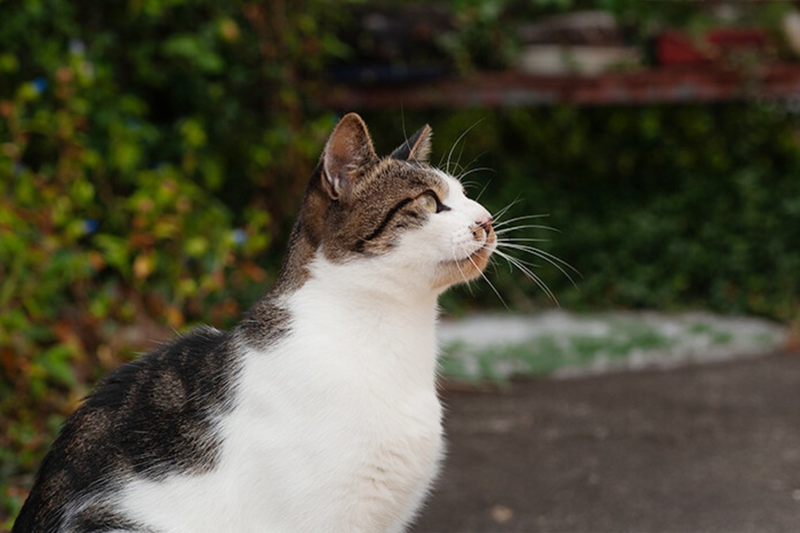 十時写真事務所