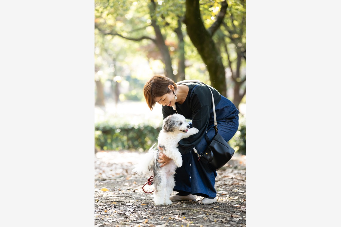 KOGA写真が撮影した「犬・わんこ撮影」の写真