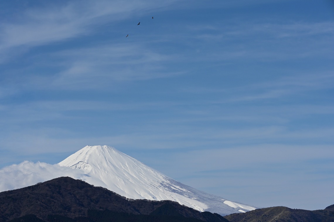 あまかど スタジオが撮影した「風景・史跡の写真撮影」の写真