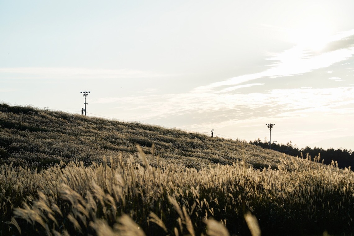 内山慎也が撮影した「イベント・記録撮影」の写真