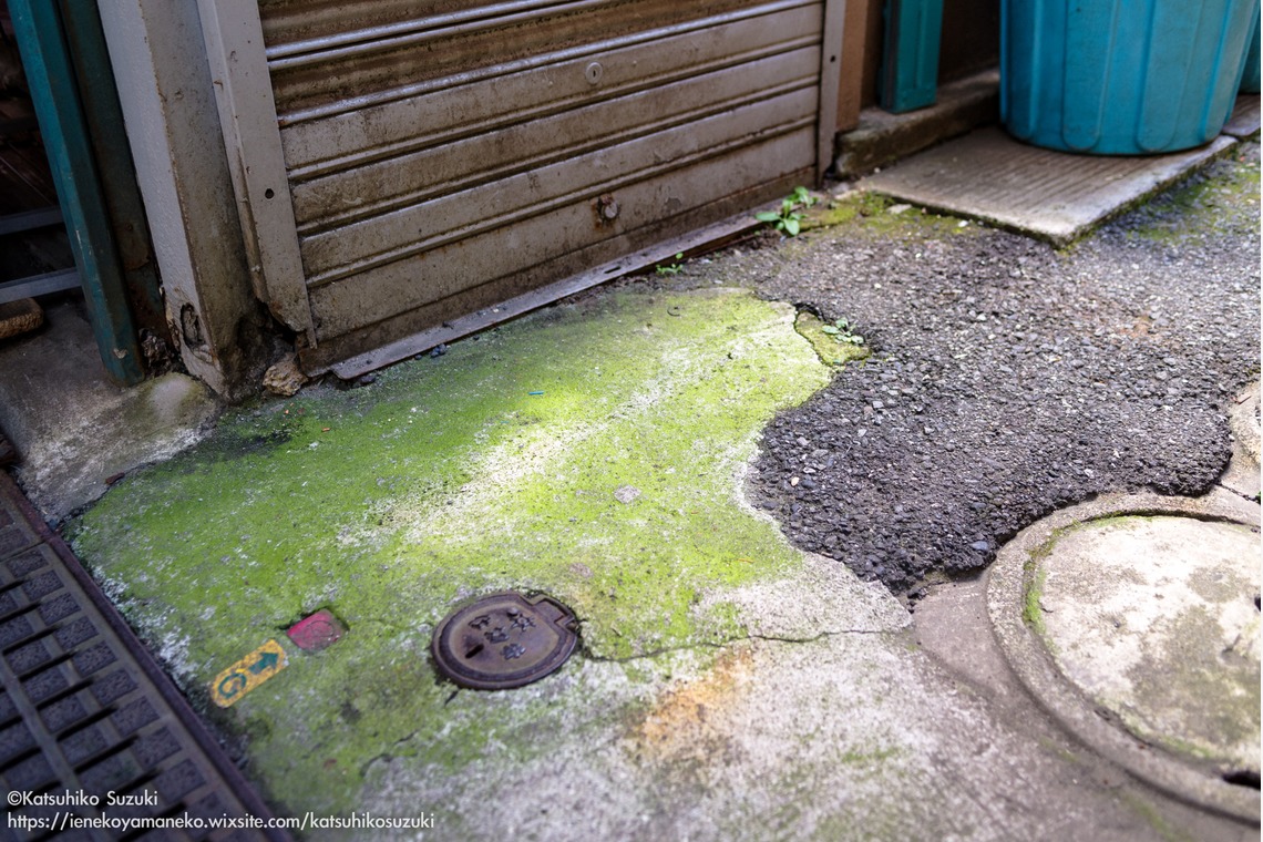 Katsuhiko Suzukiが撮影した写真のアルバム「Portfolio」