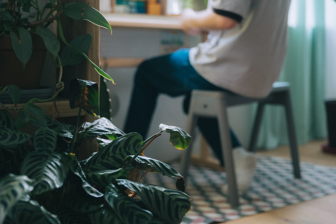 MIFUNEが撮影した「interior」の写真