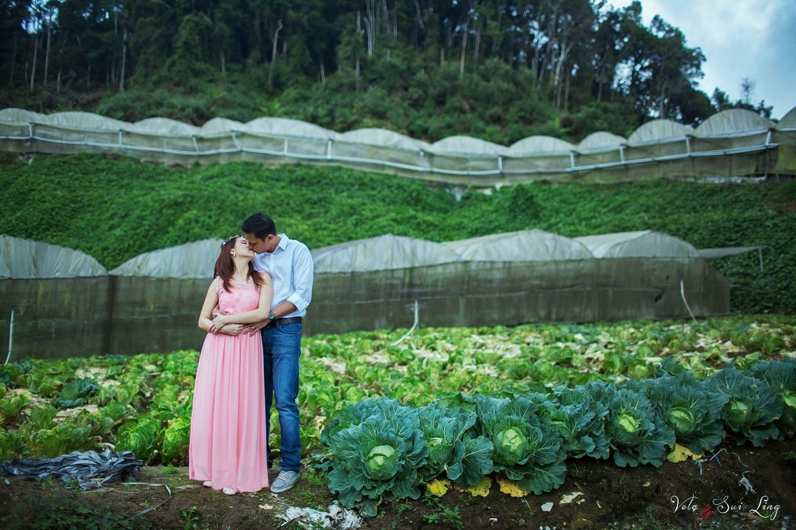Photo of Pre-Wedding photos in Cameron Highland taken by maxtography