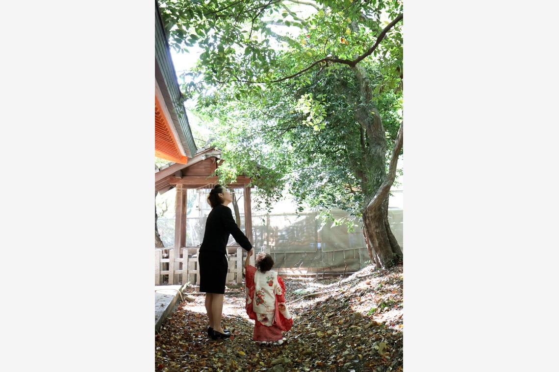 スマイルハンターが撮影した「七五三ロケーション撮影」の写真