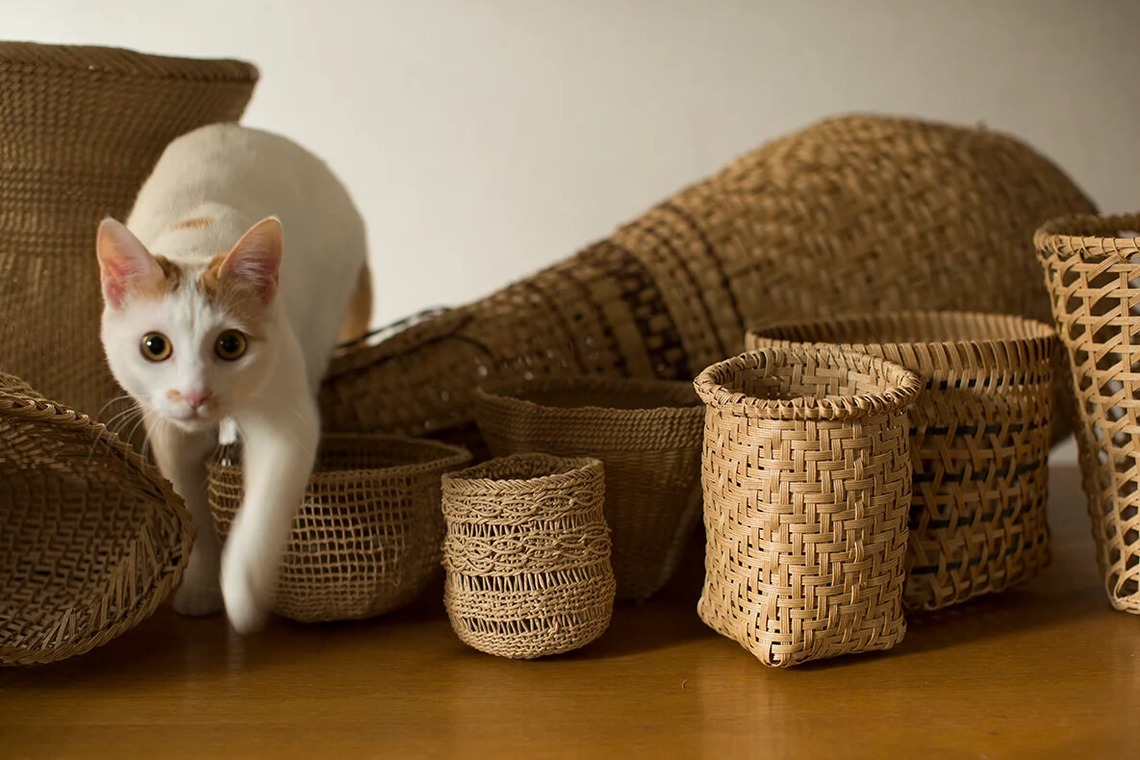 白井由香里写真事務所が撮影した写真のアルバム「動物」