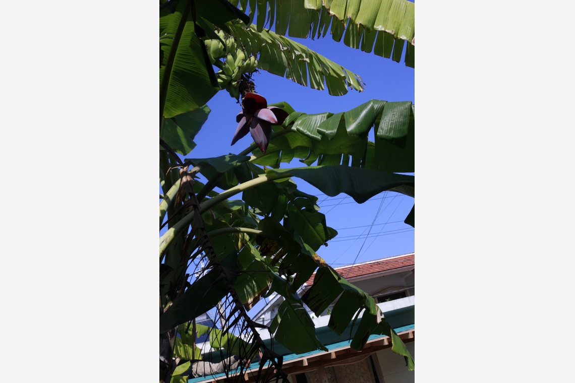 写真屋gonree　阿波根里恵が撮影した「店舗撮影」の写真